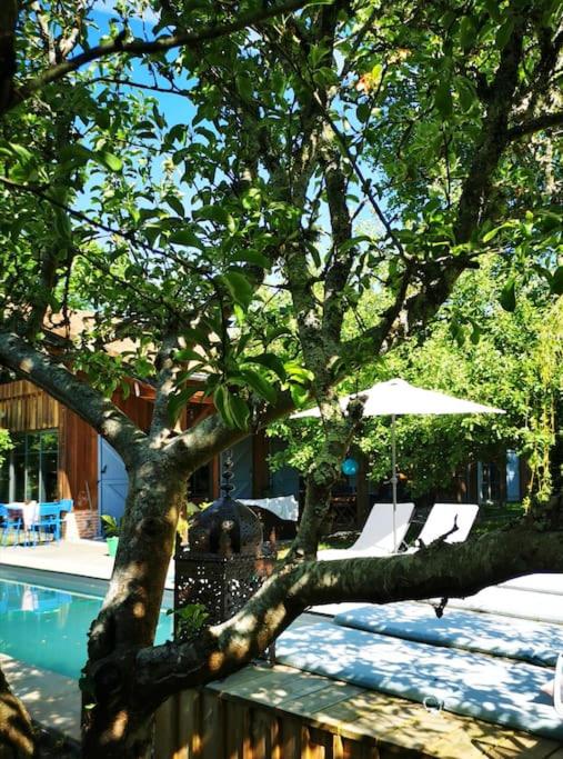 un arbre à côté d'une piscine avec un parasol dans l'établissement Grande maison bois entre océan et lac, à Vielle-Saint-Girons