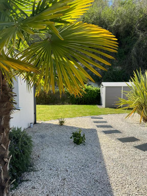 a garden with a palm tree and gravel at L'Olivier de munet in Distré
