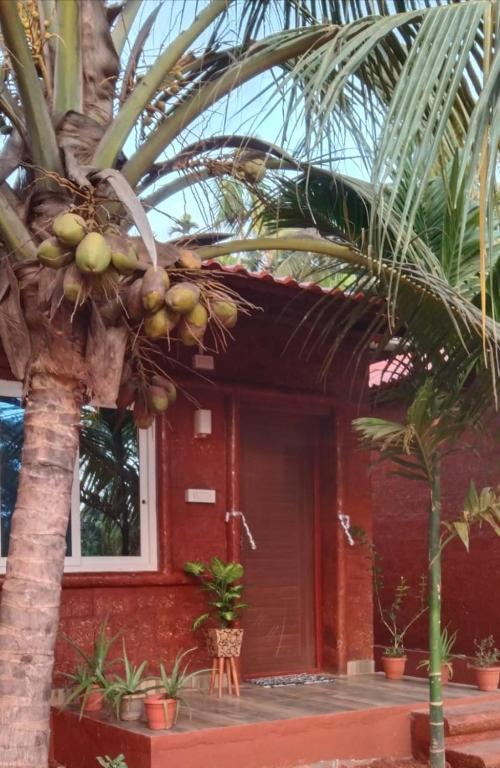 Zahrada ubytování Good Vibes Homestay-Honnavar