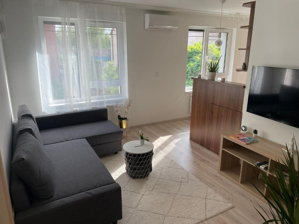 TV a/nebo společenská místnost v ubytování Sophie Apartman Szeged