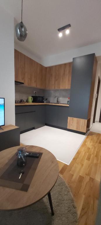 Kuhinja ili čajna kuhinja u objektu OpenView Apartment
