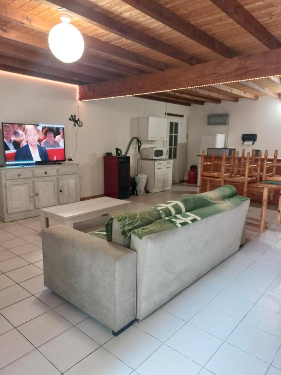 een woonkamer met een bank en een tv bij Dominique et Françoise in Fourques-sur-Garonne