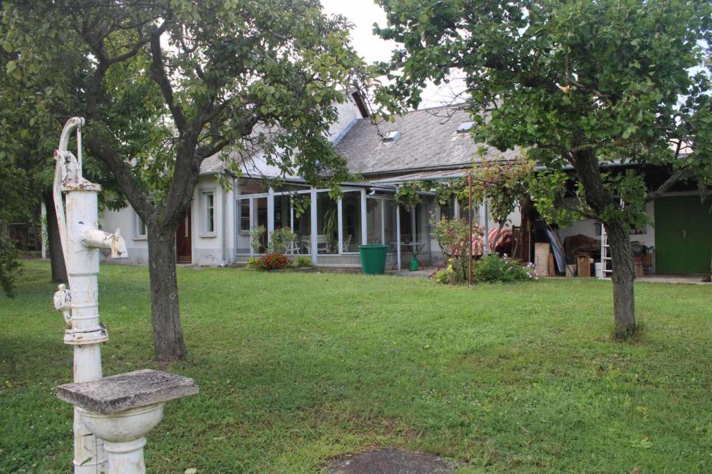 Zahrada ubytování Golden Rose Apartman