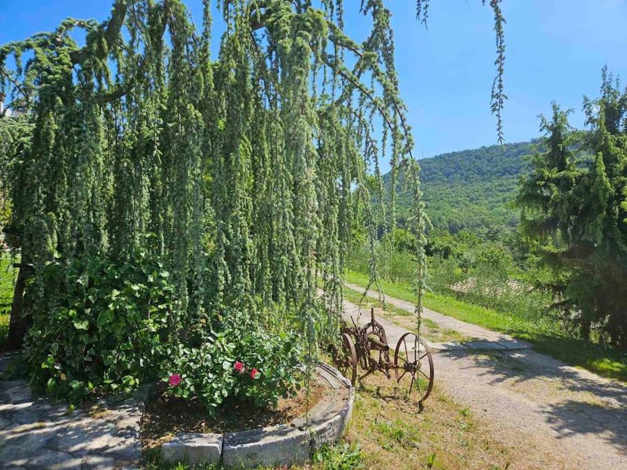 Příroda nedaleko apartmánu