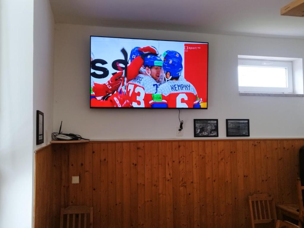 TV a/nebo společenská místnost v ubytování Penzion U Lipna