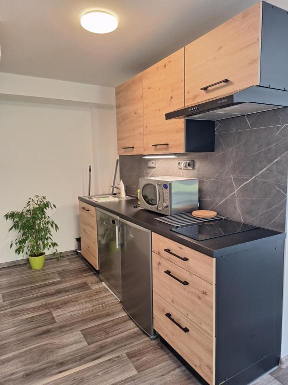 Kuchyň nebo kuchyňský kout v ubytování Apartmány Paseky - Jablonec nad Nisou