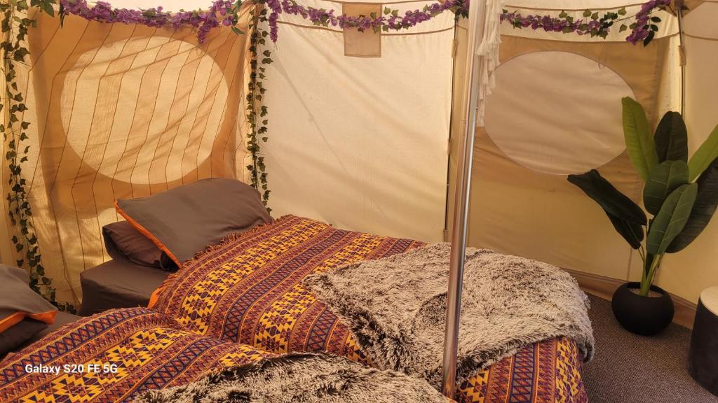een kamer met een tent met kussens en een plant bij glamping in Dromineer in Dromineer