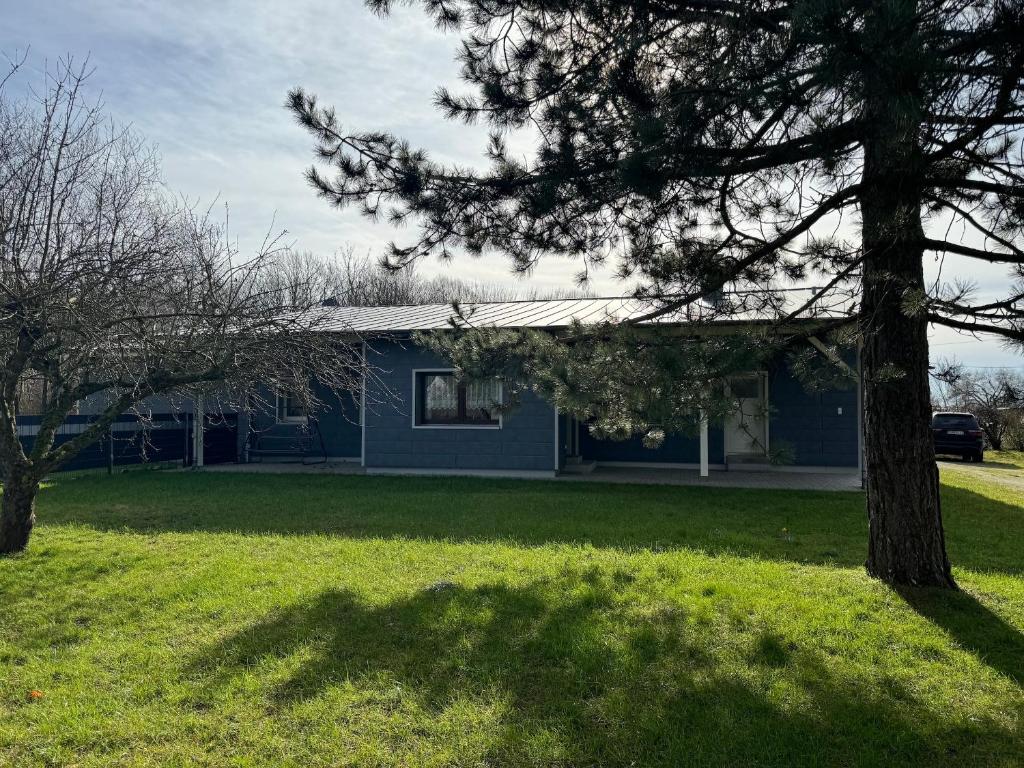 a blue house with a tree in front of it at Lanckensburg - Ferienwohnung 1 in Altenkirchen