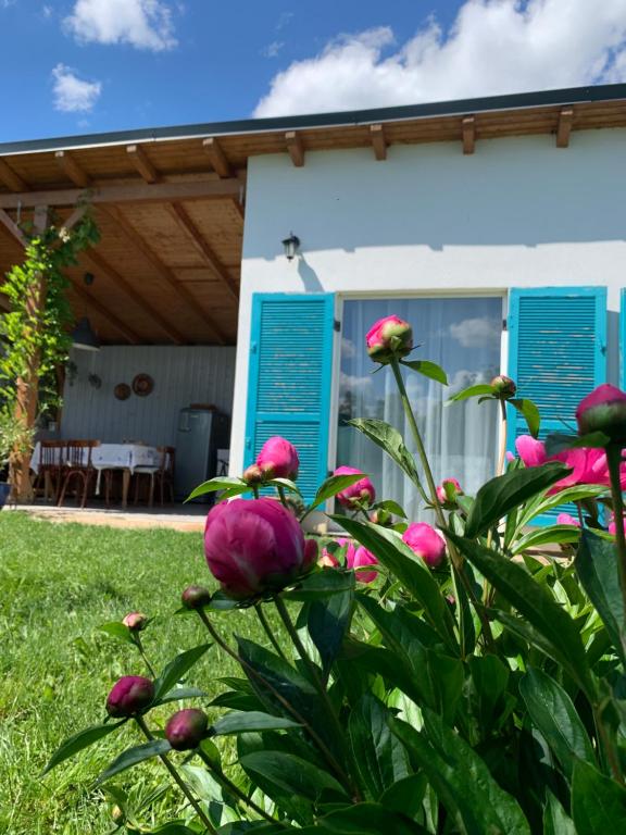 O grădină în afara Backyard Cottage