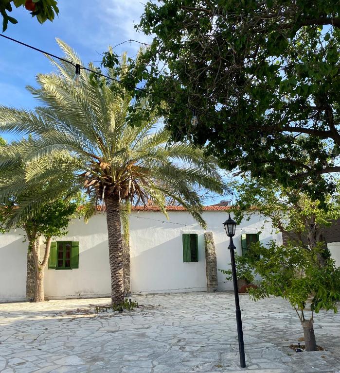a palm tree in front of a white building at The Courtyard Episkopi Guest Houses in Episkopi Limassol