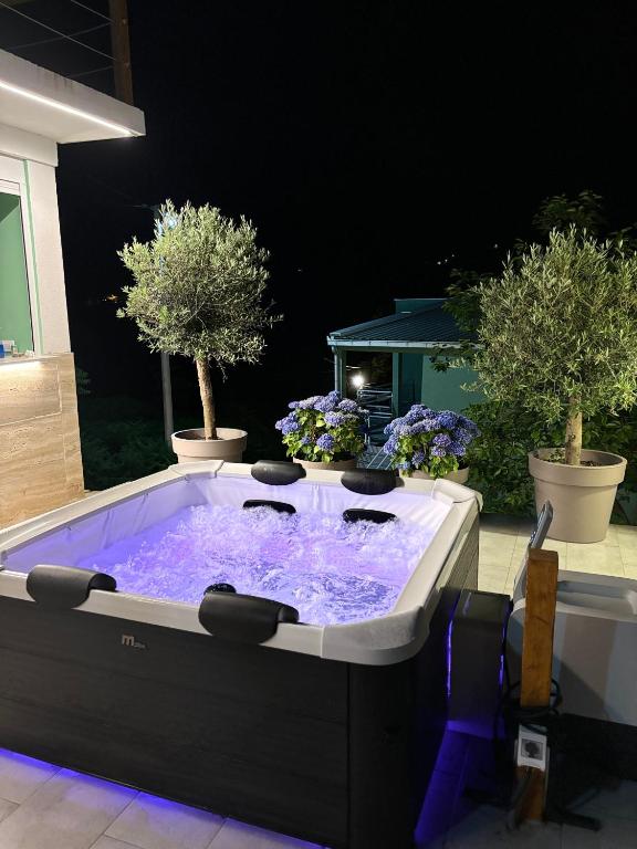 Fotografie z fotogalerie ubytování Apartments and spa MIONA v destinaci Virpazar