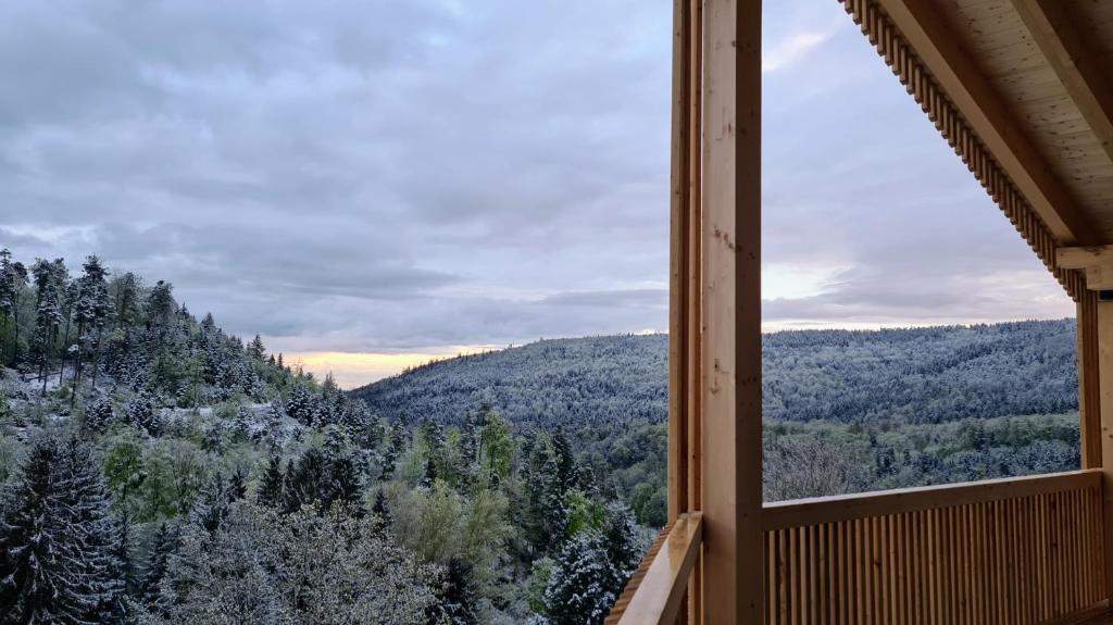 Příroda nedaleko apartmánu