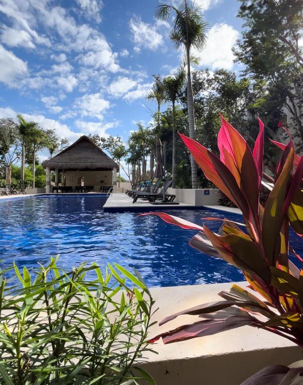 a pool at a resort with a gazebo at Depa en Playa 7min Mar y 5ta Av in Playa del Carmen