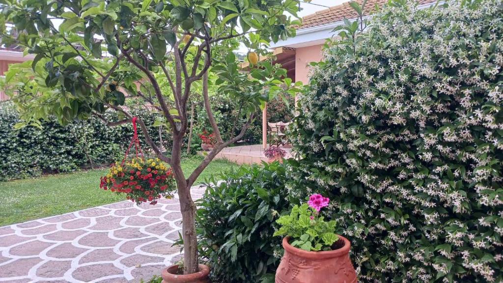 Galería fotográfica de Villa Ioannidis en Parga