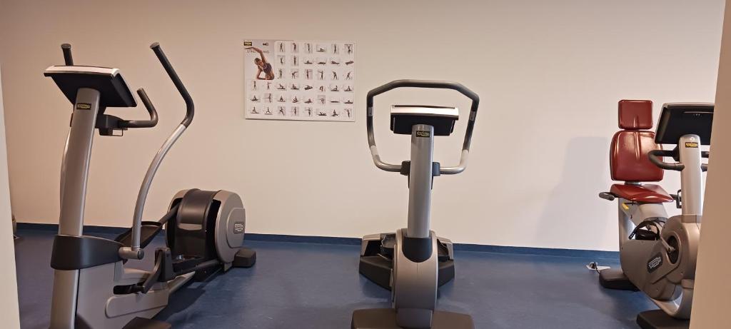 Fitness centrum a/nebo fitness zařízení v ubytování App MAJA Am Predigtstuhl