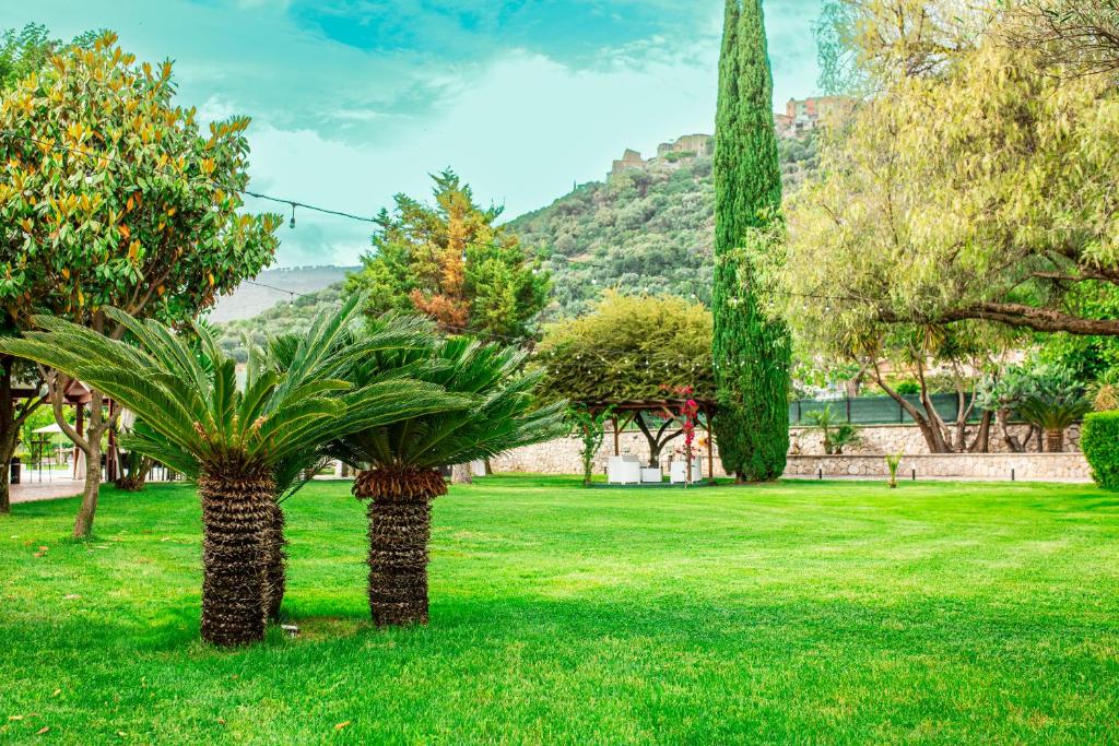 A garden outside Green Oasis Gabella