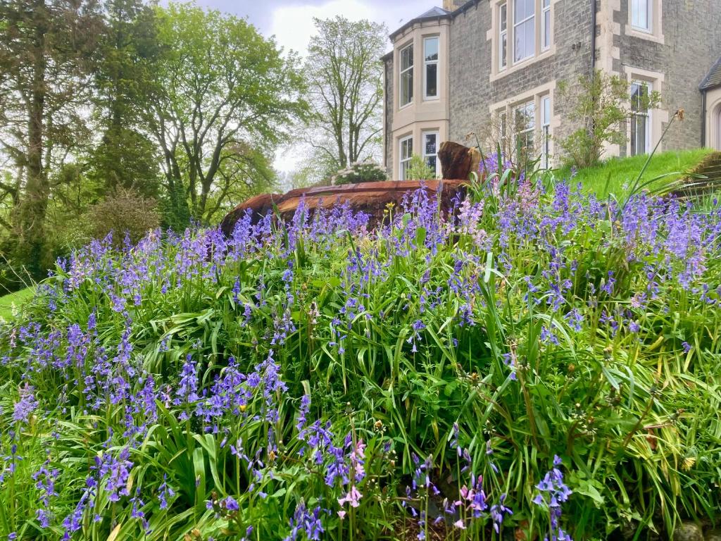 Zahrada ubytování Above & Beyond at Warriston Lodge