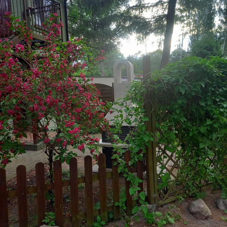 a wooden fence with pink flowers and a grave at Domek pod świerkami 3 in Skorzęcin