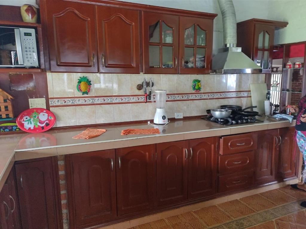 Kuchyň nebo kuchyňský kout v ubytování Villa Kyra