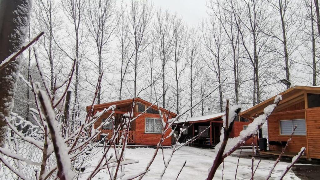 une cabane dans les bois avec de la neige sur les arbres dans l'établissement Cabañas EcoSur - Chile, à Curacautín