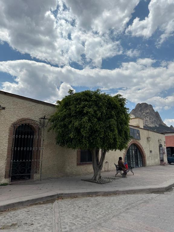 Fotografie z fotogalerie ubytování Mini depa Bernal v destinaci Bernal
