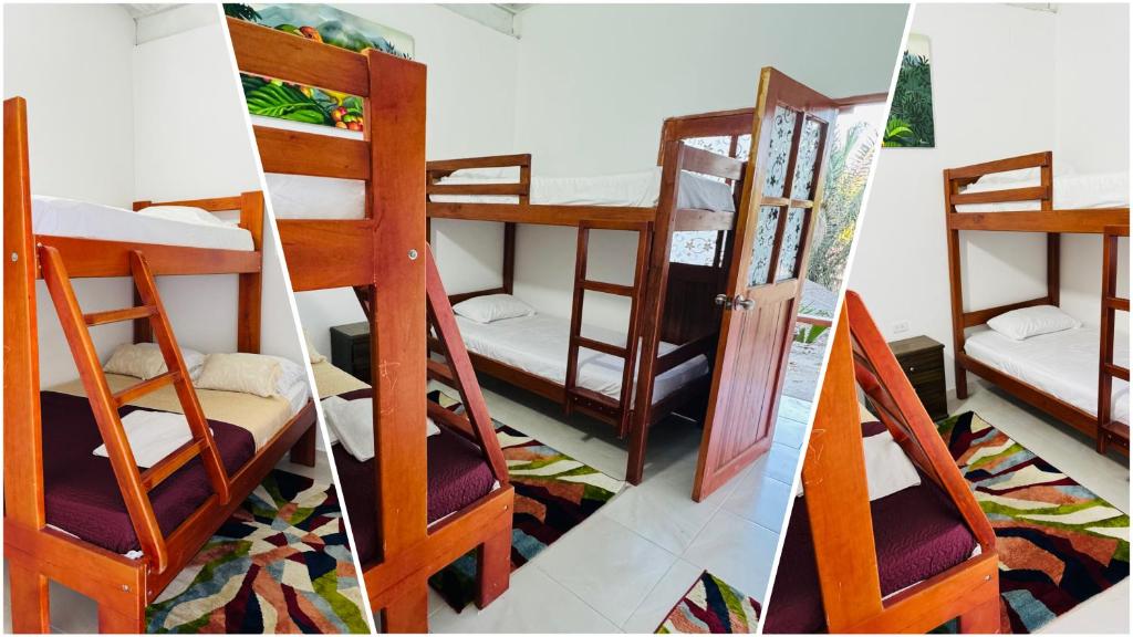 a group of bunk beds in a room at Coffee House Minca in Minca