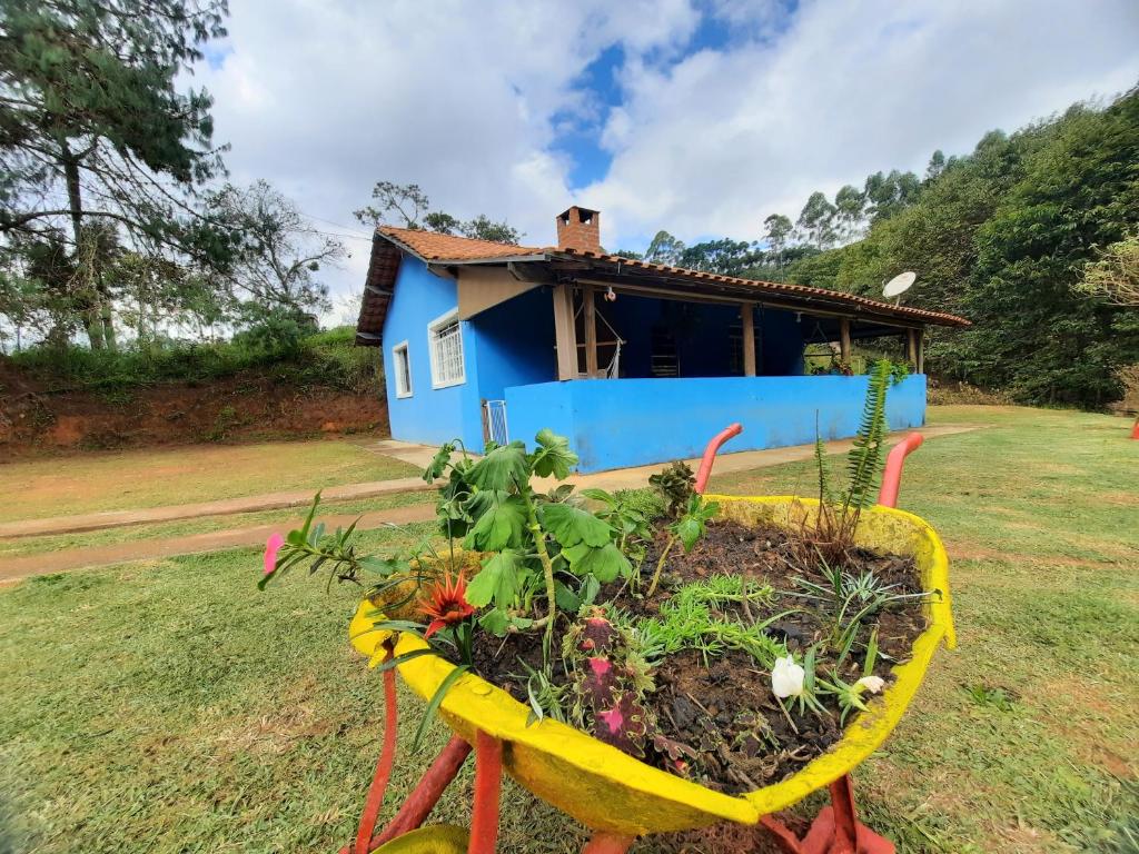 une brouette remplie de plantes devant une maison dans l'établissement Sítio jaguary, à Camanducaia