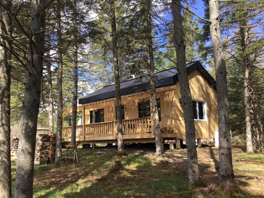 a log cabin in the woods with trees at Ranch de Frisons le Fer à Cheval - Le Madison - Chalet Rustchic au pied du Mont Mégantic in La Patrie