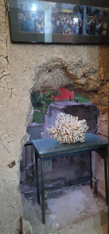 Fotografie z fotogalerie ubytování Chales Internacional v destinaci Paraty
