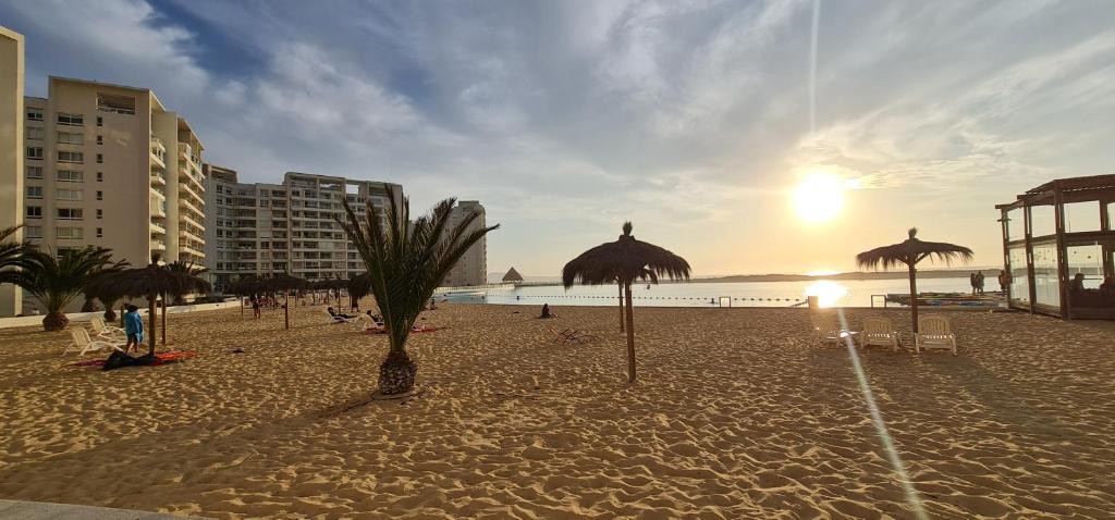 Naturlandskabet i nærheden af lejligheden