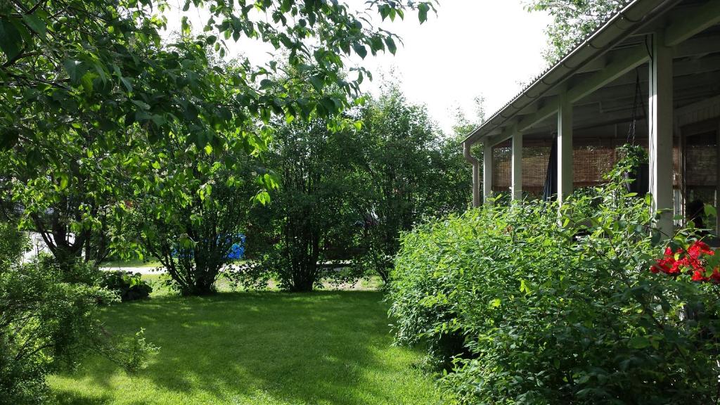 un patio junto a una casa con arbustos y árboles en Villa Gården, en Vidsel