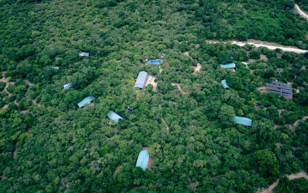 an aerial view of a forest with houses and trees at Lowin Yala in Yala