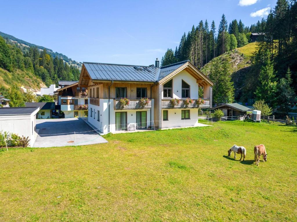 a house with two horses grazing in a field at Chalet in Saalbach near Ski Lift in Saalbach-Hinterglemm