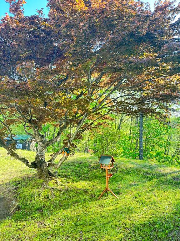 Zahrada ubytování Karuizawa Tennku Hotel & Resort
