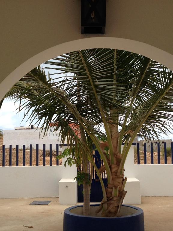 Fotografie z fotogalerie ubytování Maio Relax ve Vila do Maio
