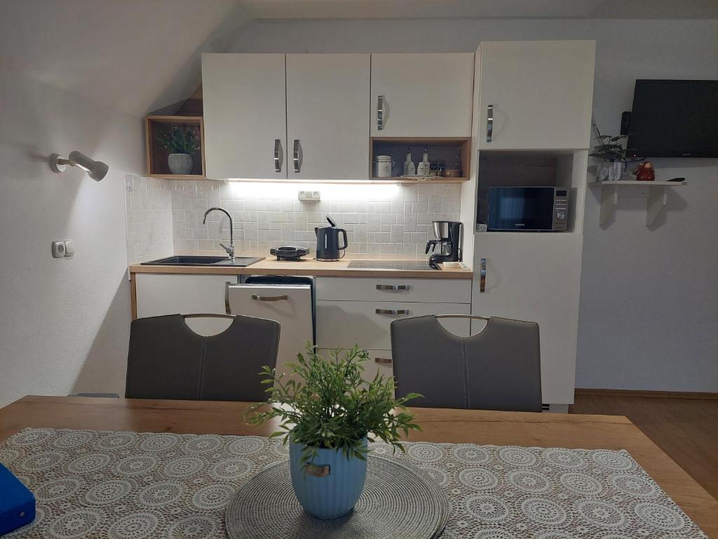 Kuchyň nebo kuchyňský kout v ubytování Apartmaji Vesna