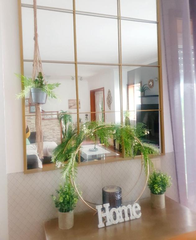 a bathroom with a mirror and plants on a counter at Grace House in Belinho