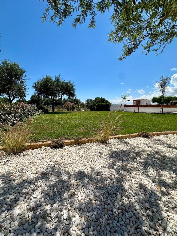 a rock garden with trees and a grass field at Villa Santo Stefano in Monopoli