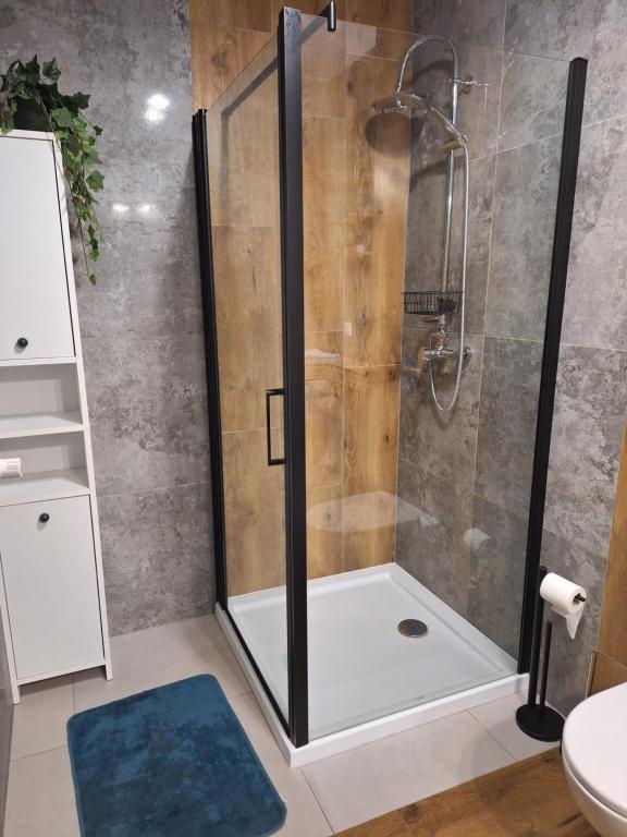 Łazienka w obiekcie Apartament Górska Szarotka