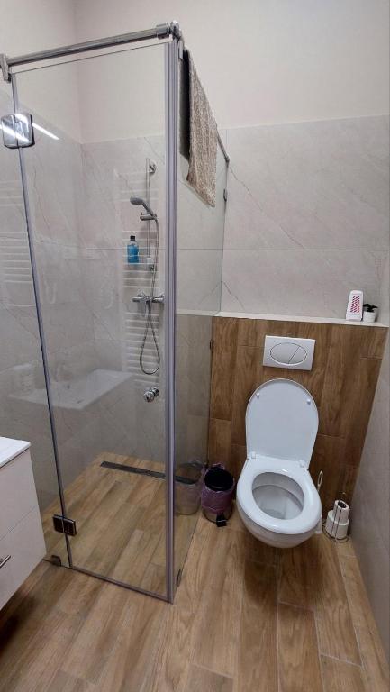 Koupelna v ubytování Földváry 3in1 Apartments