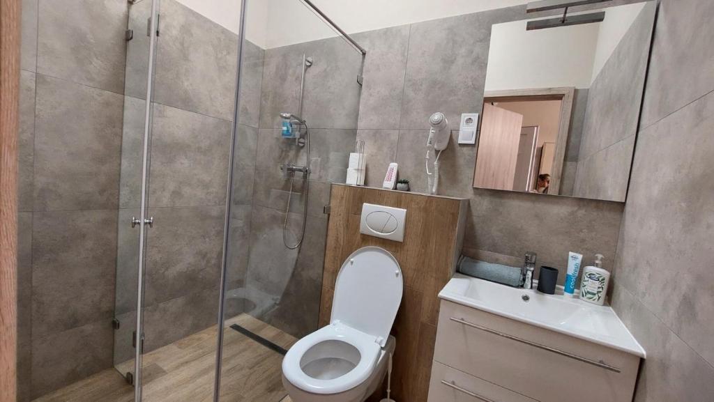 Koupelna v ubytování Földváry 3in1 Apartments
