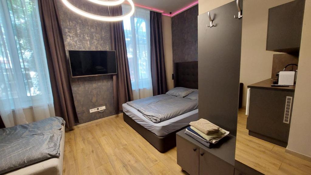 TV a/nebo společenská místnost v ubytování Földváry 3in1 Apartments