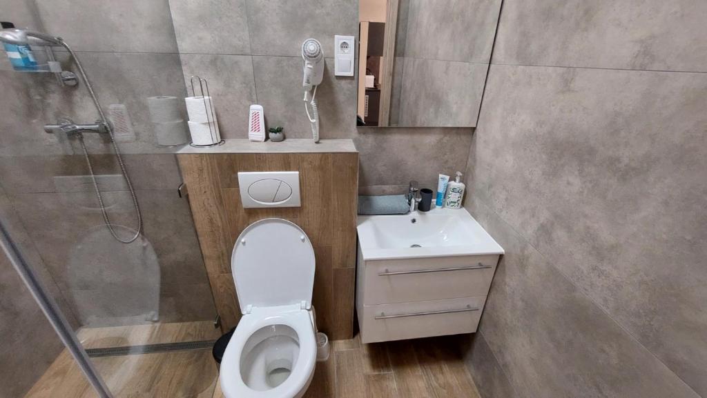 Koupelna v ubytování Földváry 3in1 Apartments