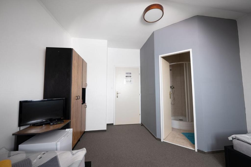 TV a/nebo společenská místnost v ubytování Hotel & SPA centrum PALMIRA