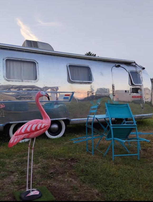 Vintage CAMP - Casa Móvil