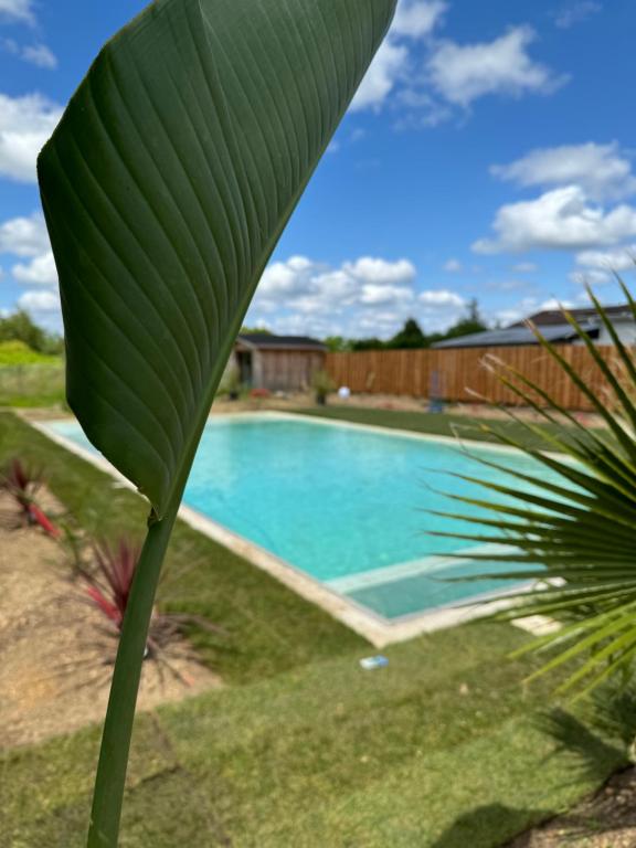 Bazén v ubytování Grande Villa de vacances région de bordeaux nebo v jeho okolí