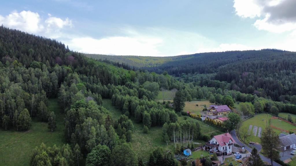 シフィエラドゥフ・ズドルイにあるStrefa Ciszy -Lawendaの森の中の家屋