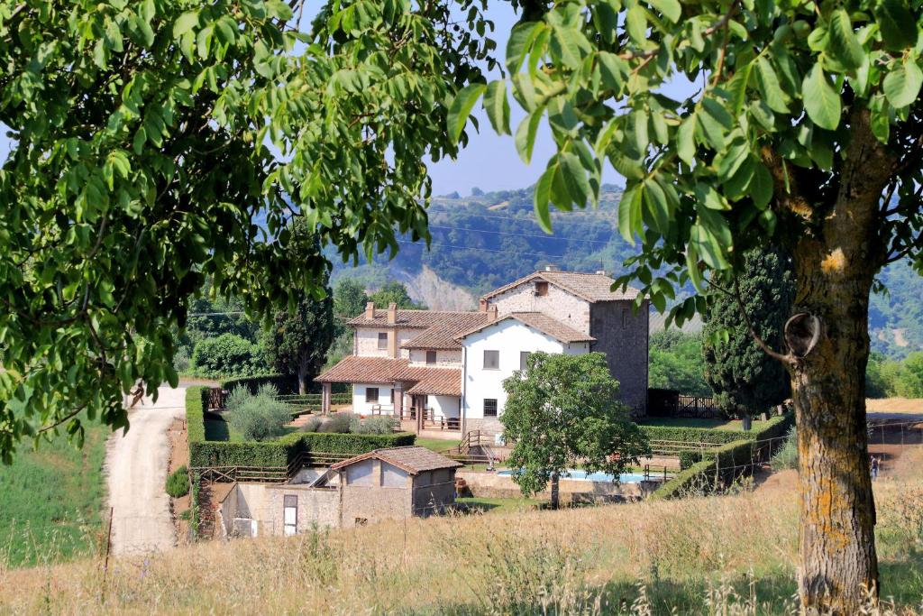 Orvieto Country House
