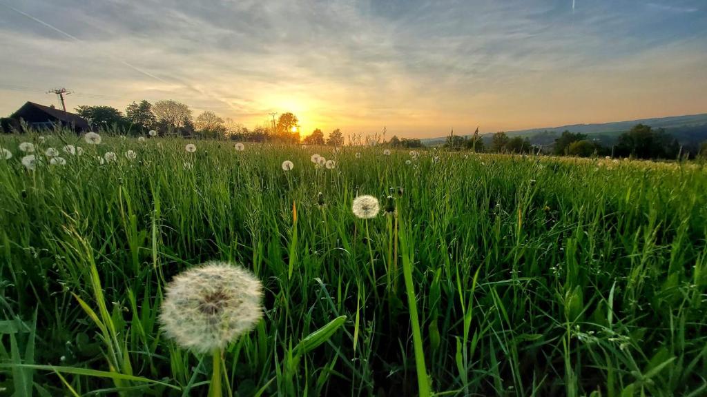 Un paisaje natural cerca de la casa vacacional