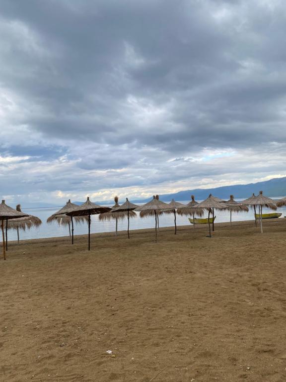 Příroda nedaleko hotelu